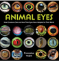 Animal Eyes: How Creatures See and How Their Eyes Have Adapted to Their World