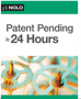 1124 Patent Pending in 24 Hours (10TH ed.)