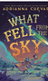 What Fell from the Sky Ages 8-12