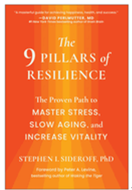 0624    9 Pillars of Resilience, The