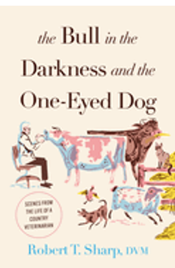 0523  Bull in the Darkness and the One-Eyed Dog, The