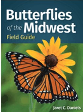 Butterflies of the Midwest Field Guide 