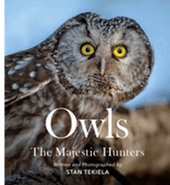 Owls: The Majestic Hunters