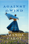 Against the Wind (Secrets of Sweetwater Crossing #02)