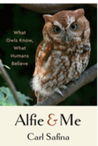 1023   Alfie and Me: What Owls Know, What Humans Believe