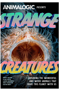 Strange Creatures