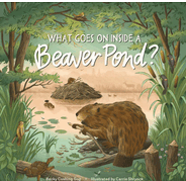 0923  What Goes on Inside a Beaver Pond?