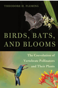 Birds, Bats, and Blooms: The Coevolution of Vertebrate Pollinators and Their Plants