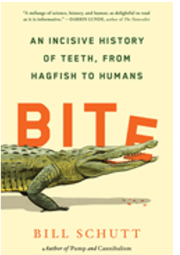 Bite: An Incisive History of Teeth, from Hagfish to Humans