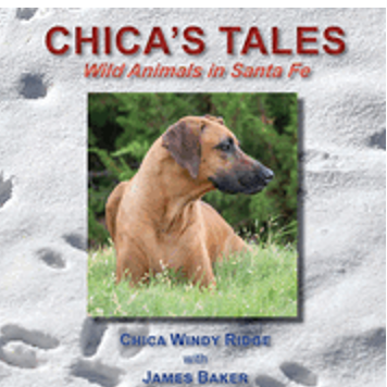 Chica's Tales: Wild Animals in Santa Fe