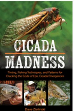 Cicada Madness