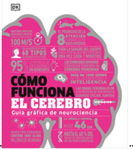 Cómo Funciona El Cerebro (How the Brain Works) (DK How Stuff Works)