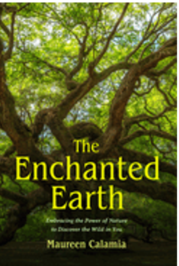 Enchanted Earth, The: Embracing the Power of Nature to Discover the Wild in You