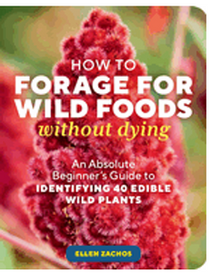 How to Forage for Wild Foods Without Dying