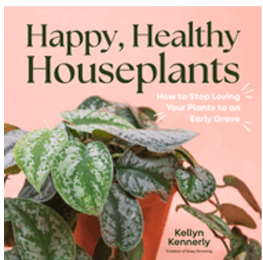 Happy, Healthy Houseplants: How to Stop Loving Your Plants to an Early Grave 