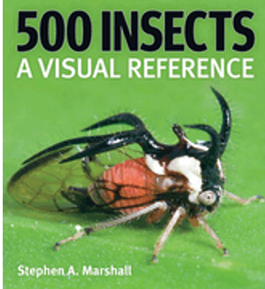 500 Insects: A Visual Reference