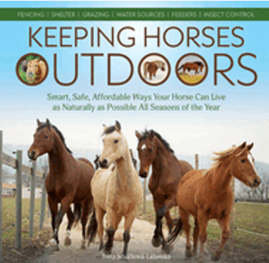 Keeping Horses Outdoors