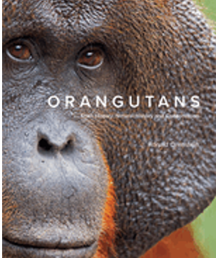 Orangutans: Their History, Natural History and Conservation