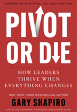 1024    Pivot or Die: How Leaders Thrive When Everything Changes