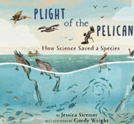 Plight of the Pelican: How Science Saved a Species (Books for a Better Earth)    Ages 5-8