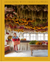Designing with Dried Flowers: Creating Everlasting Arrangements