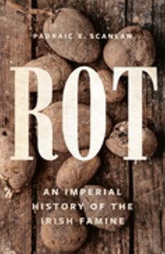 Rot: An Imperial History of the Irish Famine 