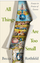 All Things Are Too Small: Essays in Praise of Excess