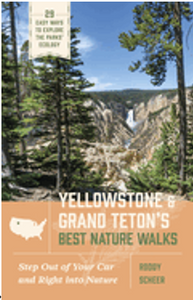 0524    Yellowstone and Grand Teton's Best Nature Walks