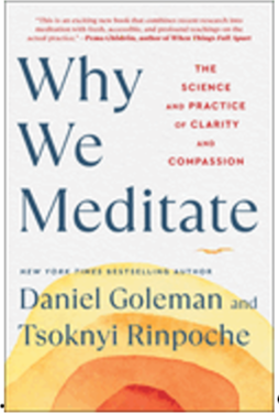 1224    Why We Meditate      NEW IN PAPERBACK