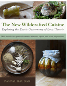 New Wildcrafted Cuisine: Exploring the Exotic Gastronomy of Local Terroir