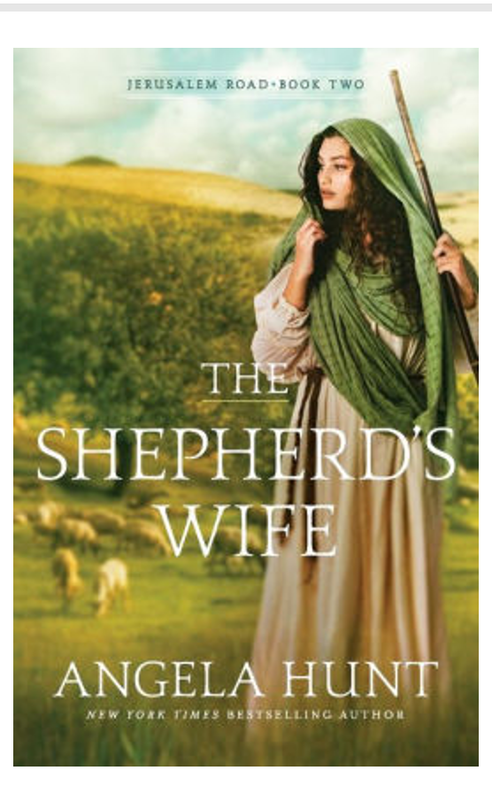 Shepherd's Wife ( Jerusalem Road #2 )