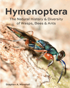 Hymenoptera: The Natural History and Diversity of Wasps, Bees and Ants