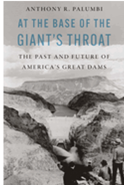 At the Base of the Giant's Throat: The Past and Future of America's Great Dams