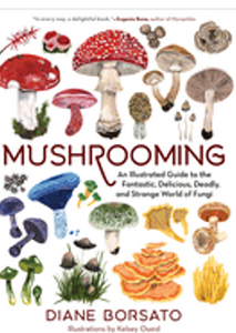 Mushrooming (An Illustrated Guide)